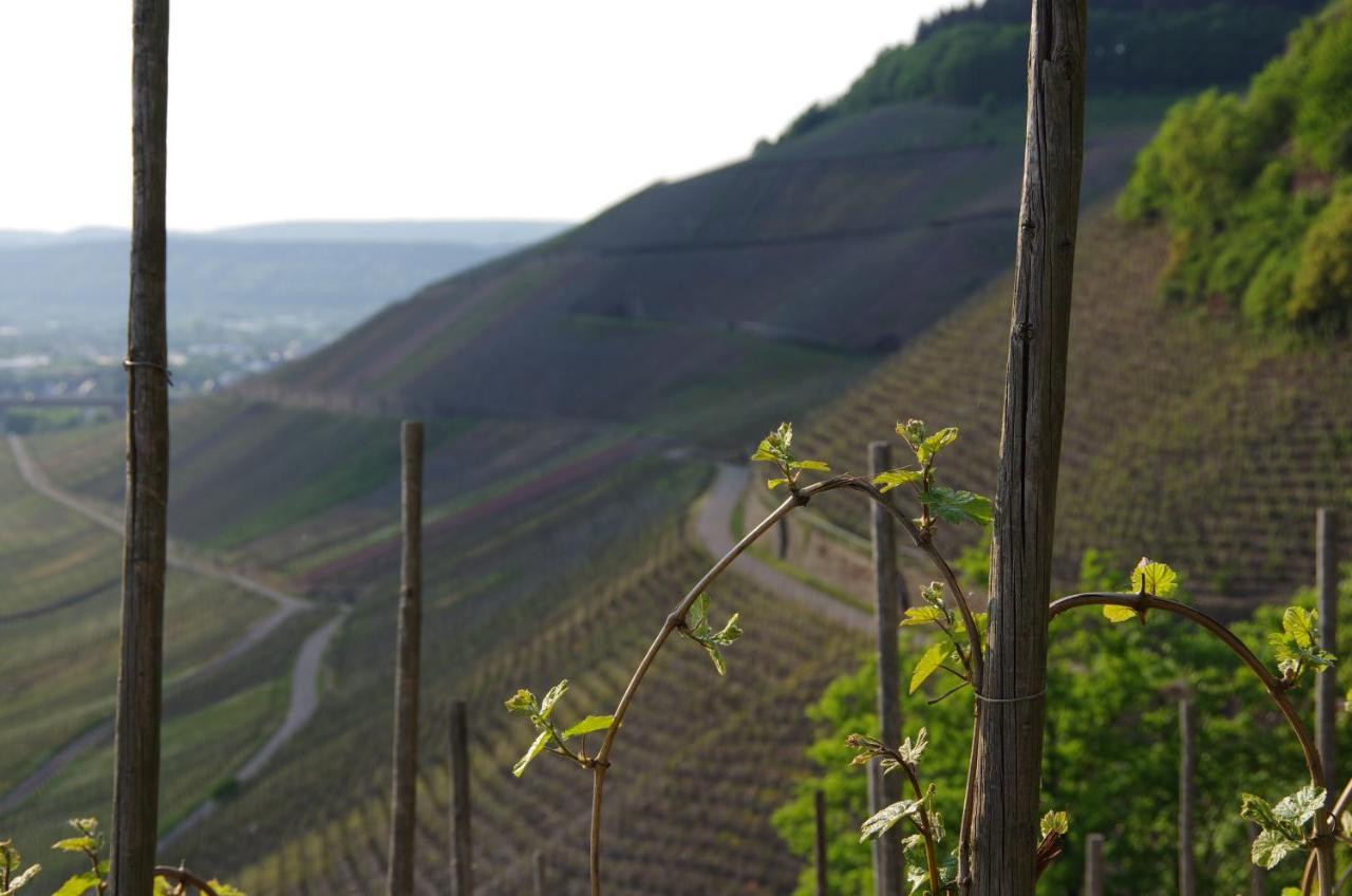 Hotel Weingut Weich Riol Exterior foto