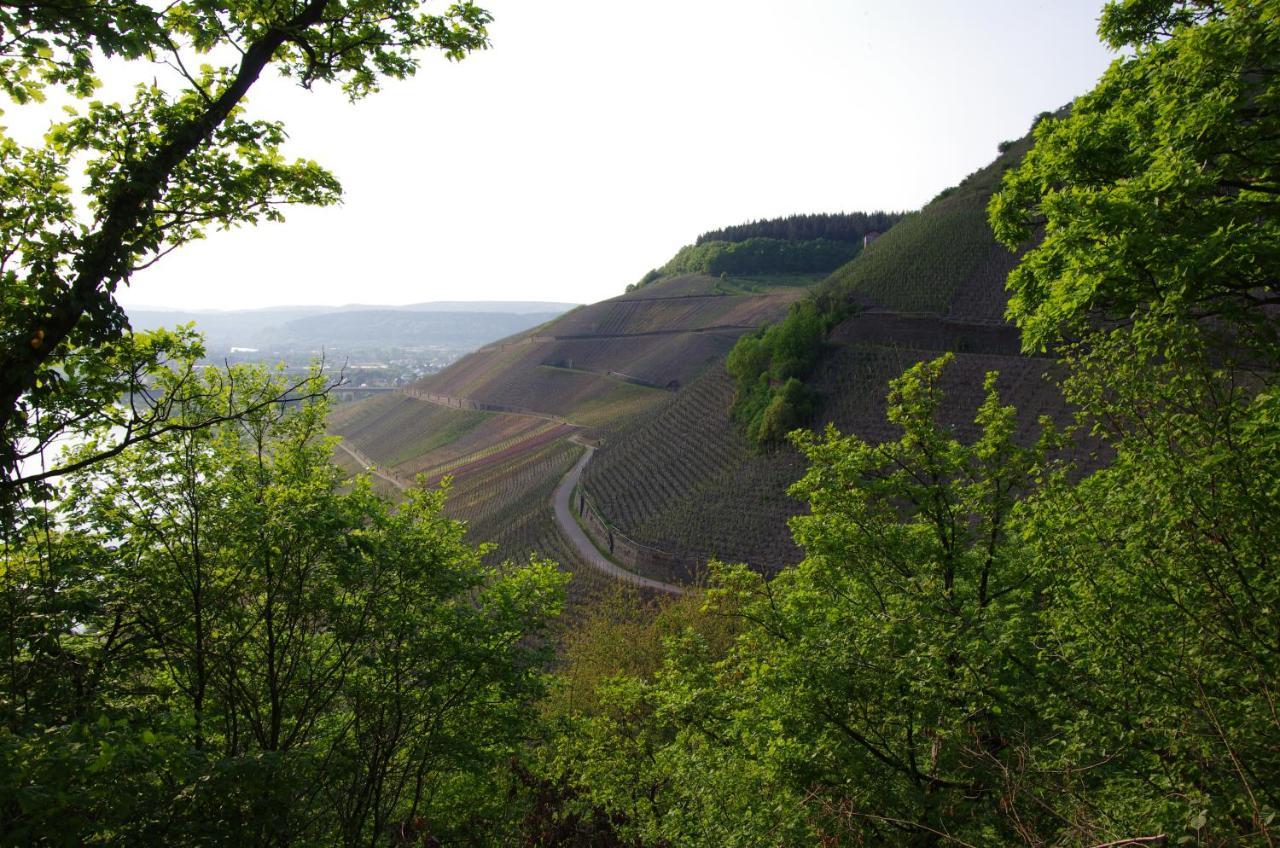 Hotel Weingut Weich Riol Exterior foto